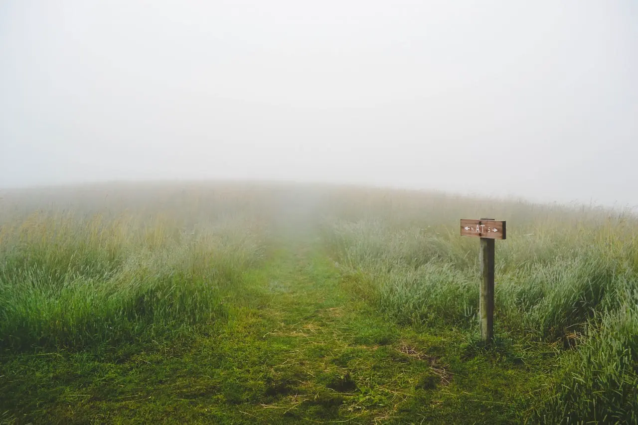 A wooden sign post in a misty filed.