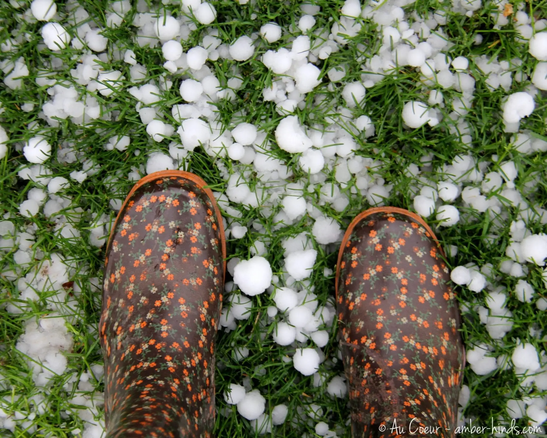Wordless Wednesday: Super Hail Storm Day