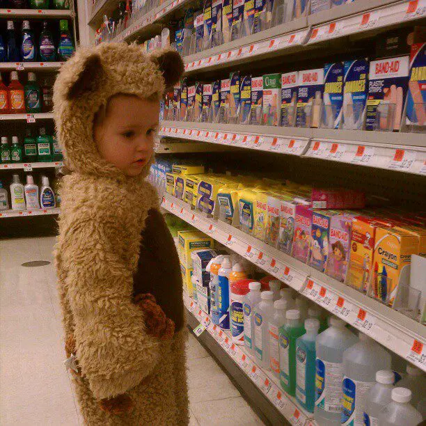 Bear spotted in Stop & Shop.