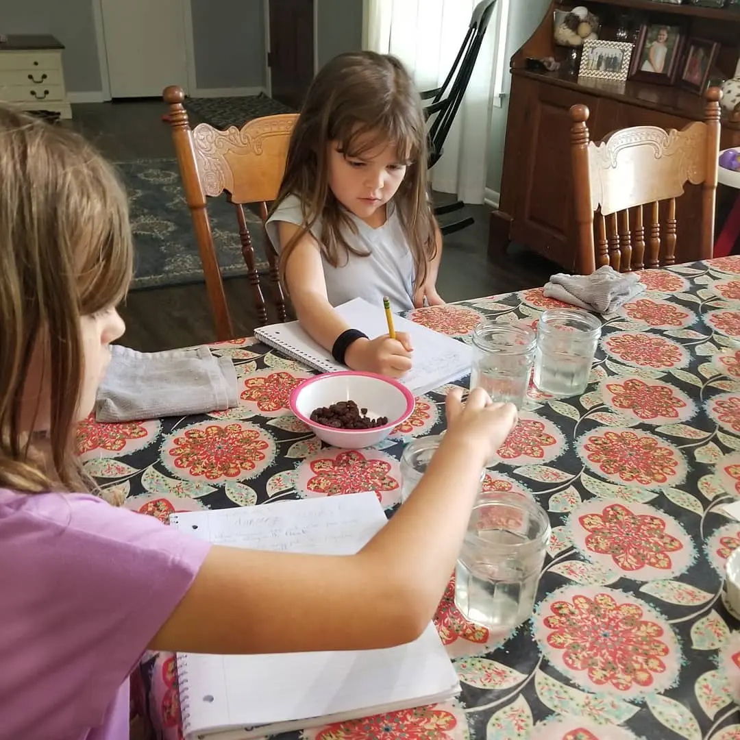 Dancing Raisins Science Experiment at Home