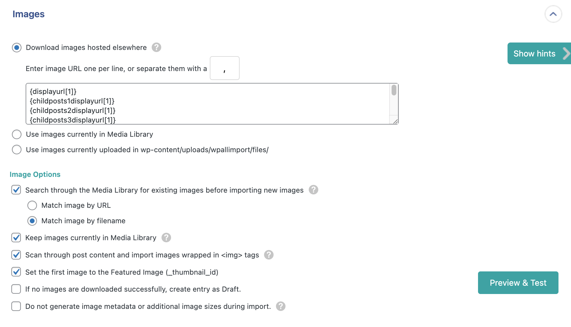 WP All Import Image settings when importing posts from Instagram to WordPress. Settings described below.