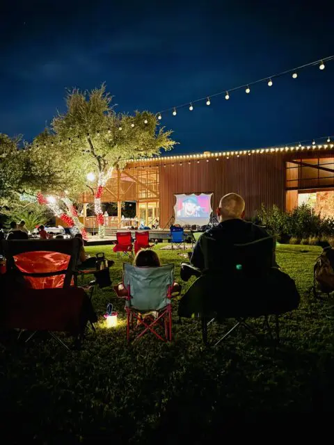 Looking at the back of Chris and Vivi as they watch an outdoor movie.