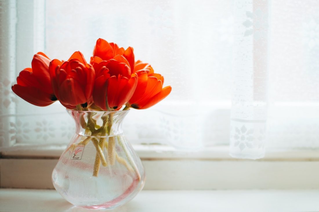 tulips in vase by window