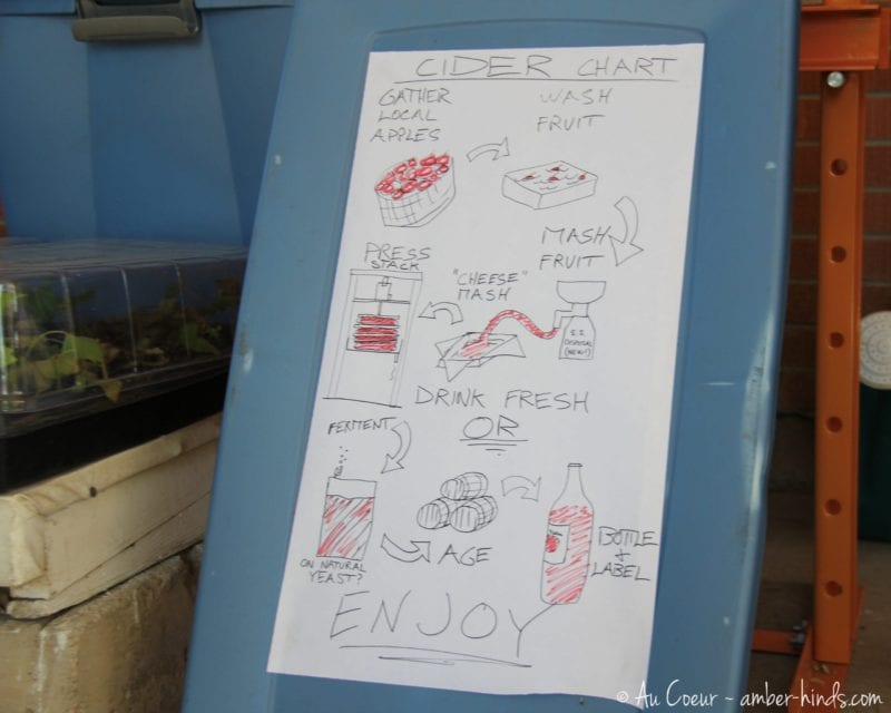 Hand drawn chart showing how to make cider. It says, "Gather local apples, wash fruit, mash fruit, press it through cheese mesh, drink fresh or ferment and age. Enjoy."