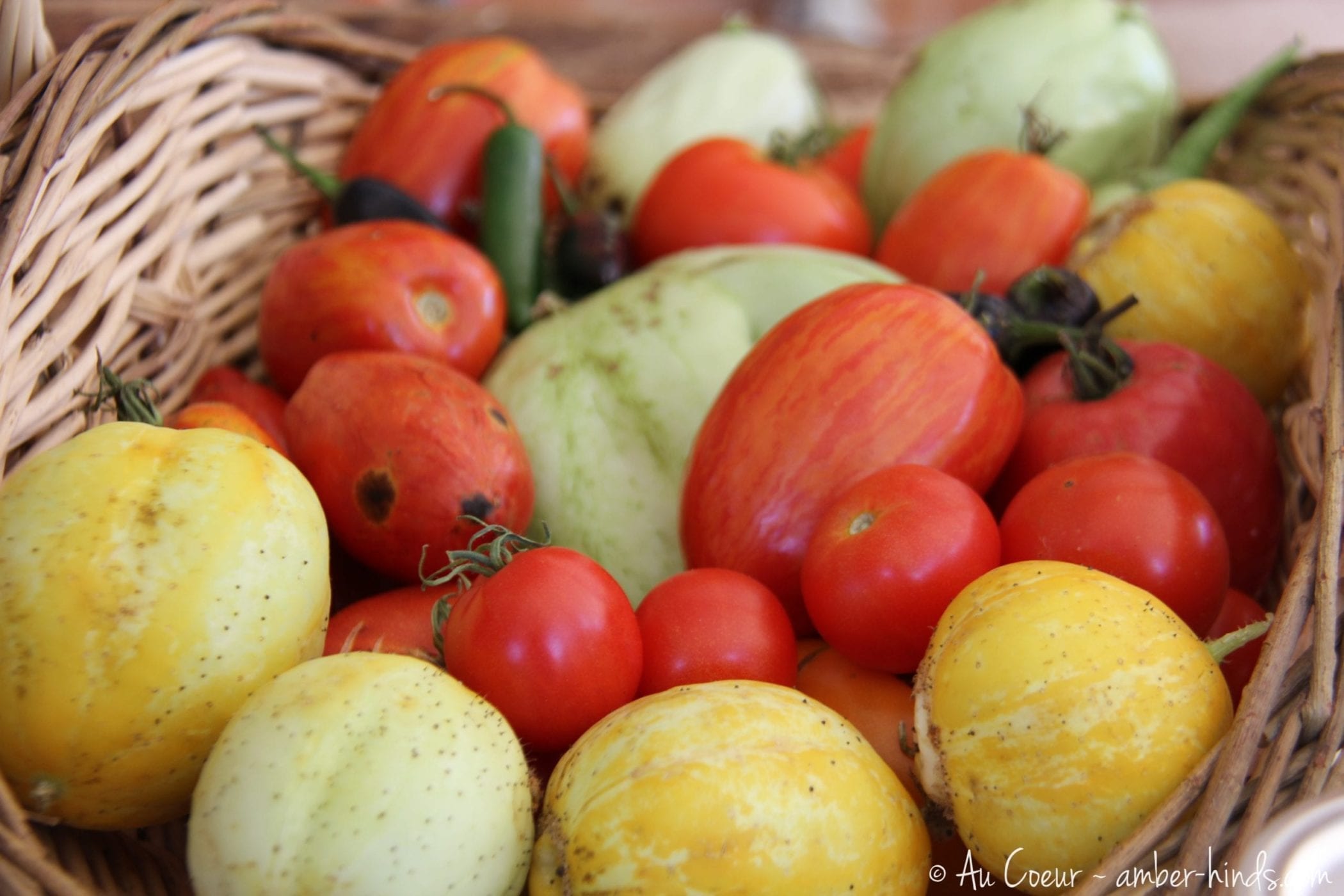 Yellow, green, red, and stripped tomatoes.