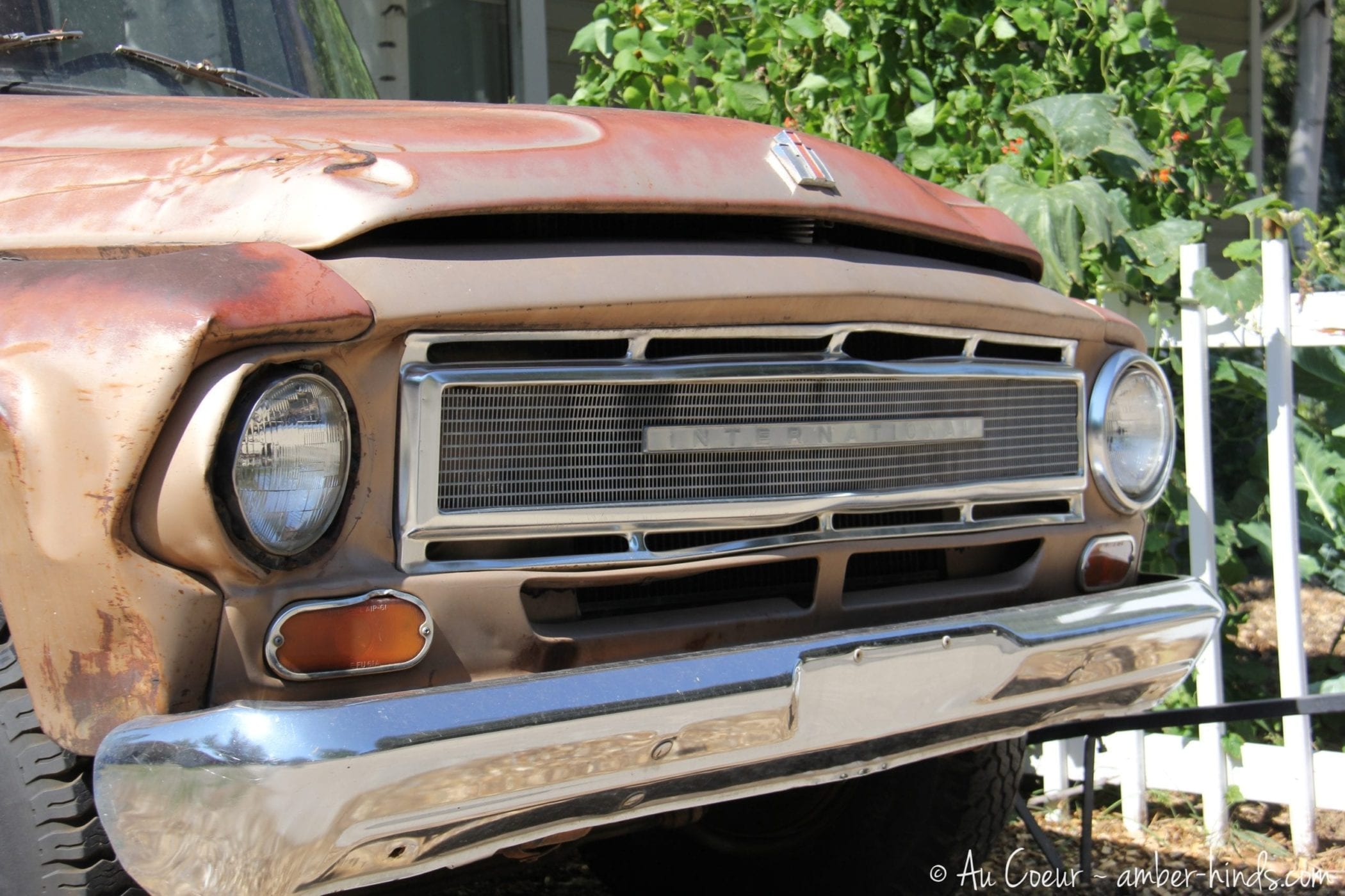 close up of the front of a rusty red international truck.
