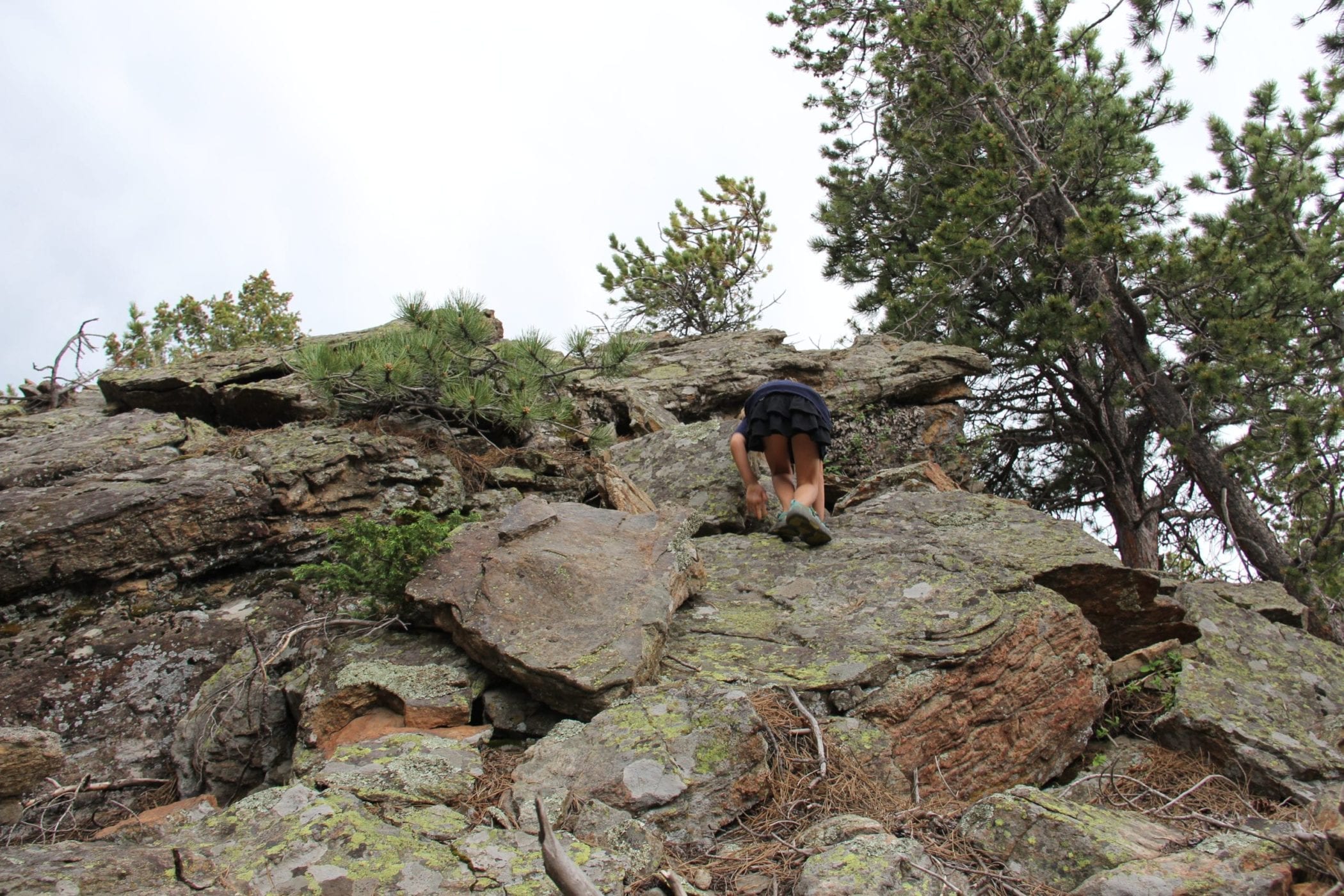 Gordon Gulch Rock Climbing 2