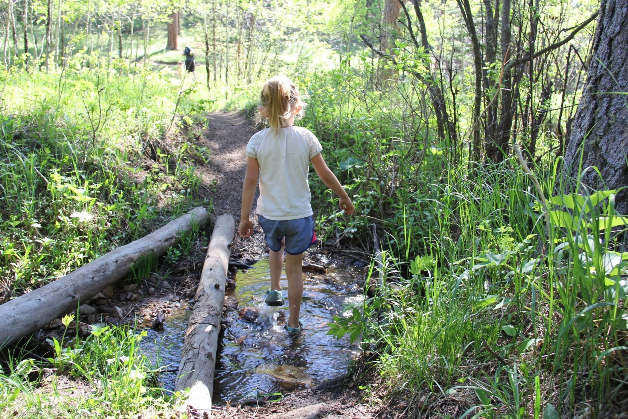 Gordon Gulch Hiking