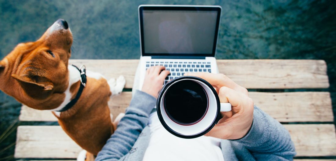 looking down at a mug of coffee held over a laptop next to a dog