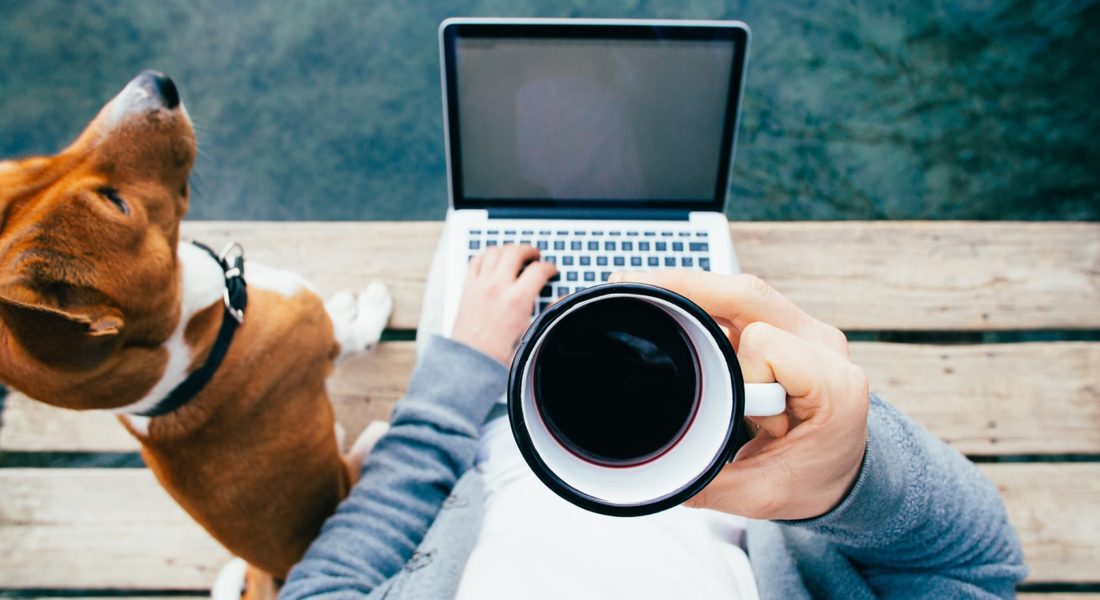 looking down at a mug of coffee held over a laptop next to a dog