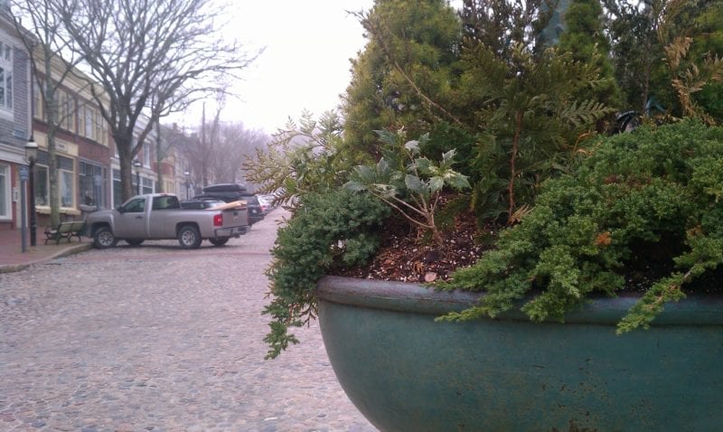 IMAG0447